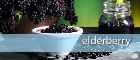 Elderberry Benefits Image
